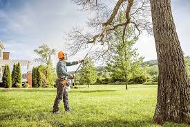 Best Tree Fertilization Services  in Logan, UT